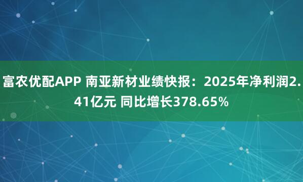 富农优配APP 南亚新材业绩快报：2025年净利润2.41亿元 同比增长378.65%
