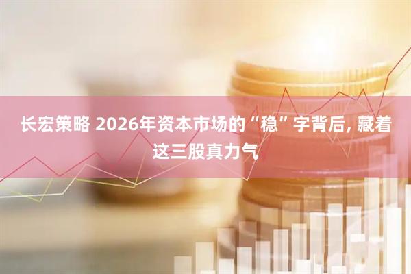 长宏策略 2026年资本市场的“稳”字背后, 藏着这三股真力气