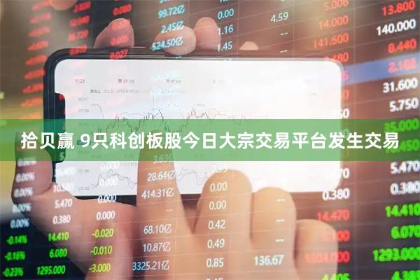 拾贝赢 9只科创板股今日大宗交易平台发生交易