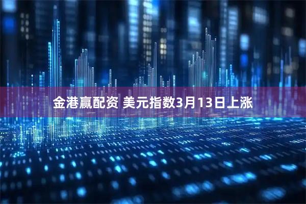 金港赢配资 美元指数3月13日上涨