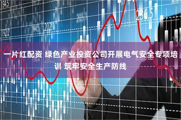 一片红配资 绿色产业投资公司开展电气安全专项培训 筑牢安全生产防线