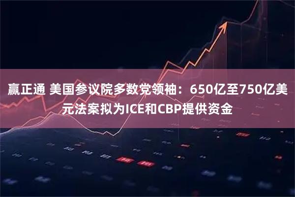 赢正通 美国参议院多数党领袖：650亿至750亿美元法案拟为ICE和CBP提供资金