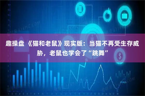 趣操盘 《猫和老鼠》现实版：当猫不再受生存威胁，老鼠也学会了“跳舞”