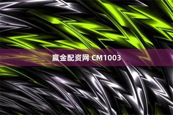 赢金配资网 CM1003